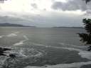 ./images/koeye/fitz-hugh/20201214/fitz-hugh20201214_143501.jpg