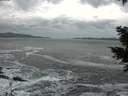 ./images/koeye/fitz-hugh/20201214/fitz-hugh20201214_144501.jpg