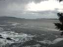 ./images/koeye/fitz-hugh/20201214/fitz-hugh20201214_145001.jpg