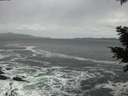 ./images/koeye/fitz-hugh/20201214/fitz-hugh20201214_145501.jpg