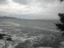 ./images/koeye/fitz-hugh/20201214/fitz-hugh20201214_150002.jpg