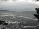 ./images/koeye/fitz-hugh/20201214/fitz-hugh20201214_150501.jpg