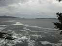 ./images/koeye/fitz-hugh/20201214/fitz-hugh20201214_151001.jpg