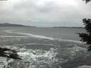 ./images/koeye/fitz-hugh/20201214/fitz-hugh20201214_152001.jpg