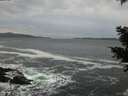 ./images/koeye/fitz-hugh/20201214/fitz-hugh20201214_153002.jpg