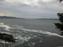 ./images/koeye/fitz-hugh/20201214/fitz-hugh20201214_153502.jpg