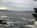 ./images/koeye/fitz-hugh/20201214/fitz-hugh20201214_154002.jpg