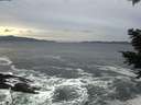 ./images/koeye/fitz-hugh/20201214/fitz-hugh20201214_154502.jpg