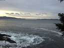 ./images/koeye/fitz-hugh/20201214/fitz-hugh20201214_155502.jpg