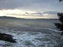 ./images/koeye/fitz-hugh/20201214/fitz-hugh20201214_160502.jpg