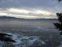 ./images/koeye/fitz-hugh/20201214/fitz-hugh20201214_161502.jpg
