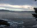 ./images/koeye/fitz-hugh/20201214/fitz-hugh20201214_162002.jpg
