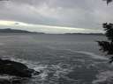 ./images/koeye/fitz-hugh/20201214/fitz-hugh20201214_163001.jpg