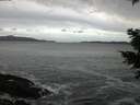./images/koeye/fitz-hugh/20201214/fitz-hugh20201214_165501.jpg