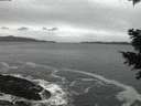 ./images/koeye/fitz-hugh/20201214/fitz-hugh20201214_170501.jpg