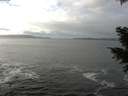./images/koeye/fitz-hugh/20201217/fitz-hugh20201217_122513.jpg
