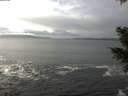 ./images/koeye/fitz-hugh/20201217/fitz-hugh20201217_123001.jpg