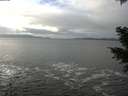 ./images/koeye/fitz-hugh/20201217/fitz-hugh20201217_123501.jpg