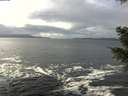 ./images/koeye/fitz-hugh/20201217/fitz-hugh20201217_124501.jpg