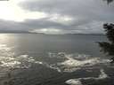 ./images/koeye/fitz-hugh/20201217/fitz-hugh20201217_125001.jpg