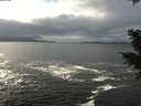./images/koeye/fitz-hugh/20201217/fitz-hugh20201217_125501.jpg