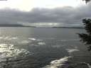 ./images/koeye/fitz-hugh/20201217/fitz-hugh20201217_130002.jpg