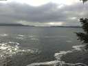 ./images/koeye/fitz-hugh/20201217/fitz-hugh20201217_130501.jpg