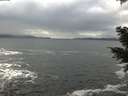 ./images/koeye/fitz-hugh/20201217/fitz-hugh20201217_131001.jpg
