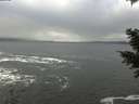 ./images/koeye/fitz-hugh/20201217/fitz-hugh20201217_131501.jpg