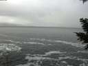./images/koeye/fitz-hugh/20201217/fitz-hugh20201217_132502.jpg