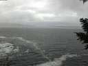 ./images/koeye/fitz-hugh/20201217/fitz-hugh20201217_134002.jpg