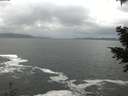 ./images/koeye/fitz-hugh/20201217/fitz-hugh20201217_135002.jpg