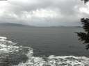 ./images/koeye/fitz-hugh/20201217/fitz-hugh20201217_135502.jpg