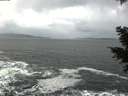 ./images/koeye/fitz-hugh/20201217/fitz-hugh20201217_140002.jpg