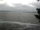 ./images/koeye/fitz-hugh/20201217/fitz-hugh20201217_141002.jpg