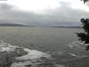 ./images/koeye/fitz-hugh/20201217/fitz-hugh20201217_141502.jpg