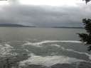 ./images/koeye/fitz-hugh/20201217/fitz-hugh20201217_142002.jpg