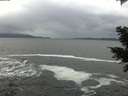 ./images/koeye/fitz-hugh/20201217/fitz-hugh20201217_142502.jpg