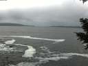 ./images/koeye/fitz-hugh/20201217/fitz-hugh20201217_143002.jpg