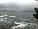 ./images/koeye/fitz-hugh/20201217/fitz-hugh20201217_143501.jpg