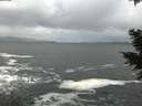 ./images/koeye/fitz-hugh/20201217/fitz-hugh20201217_144001.jpg