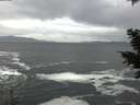 ./images/koeye/fitz-hugh/20201217/fitz-hugh20201217_144501.jpg