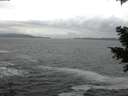 ./images/koeye/fitz-hugh/20201217/fitz-hugh20201217_145501.jpg