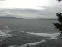 ./images/koeye/fitz-hugh/20201217/fitz-hugh20201217_150001.jpg