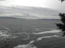 ./images/koeye/fitz-hugh/20201217/fitz-hugh20201217_150501.jpg