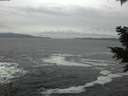 ./images/koeye/fitz-hugh/20201217/fitz-hugh20201217_151001.jpg