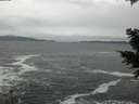 ./images/koeye/fitz-hugh/20201217/fitz-hugh20201217_151501.jpg