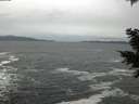 ./images/koeye/fitz-hugh/20201217/fitz-hugh20201217_152001.jpg