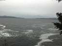 ./images/koeye/fitz-hugh/20201217/fitz-hugh20201217_152501.jpg