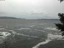 ./images/koeye/fitz-hugh/20201217/fitz-hugh20201217_153001.jpg